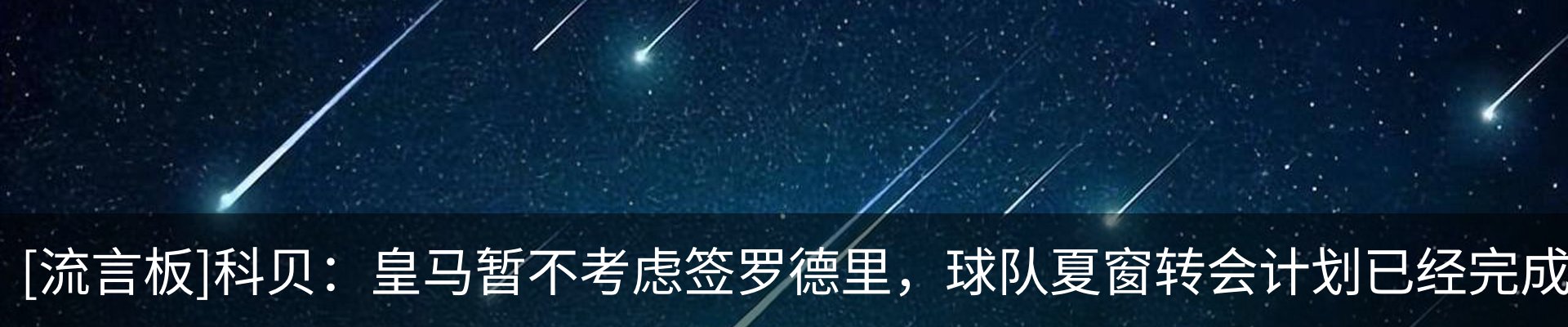 新闻动态
